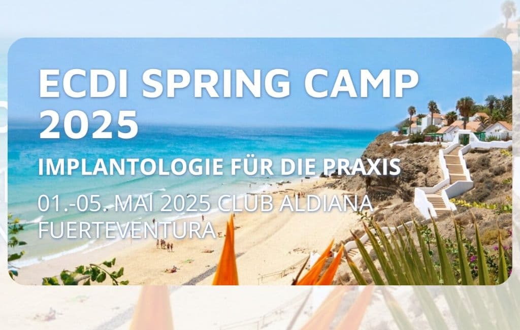 ECDI Spring Camp