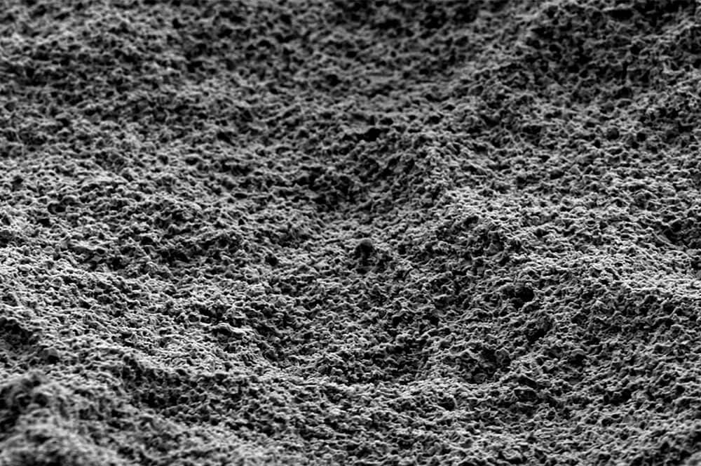 Neodent