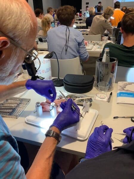 Early Summer Dental
