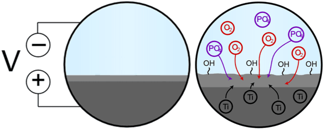 Hydrophilie