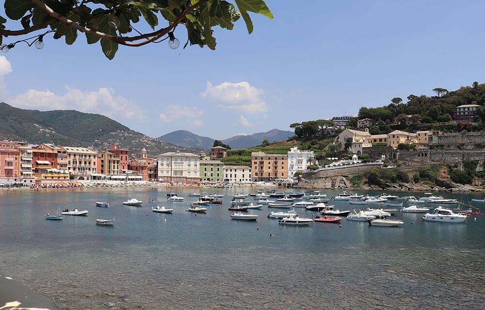 pip-vor-or_4_2022_sestri_bild_1-1000×640