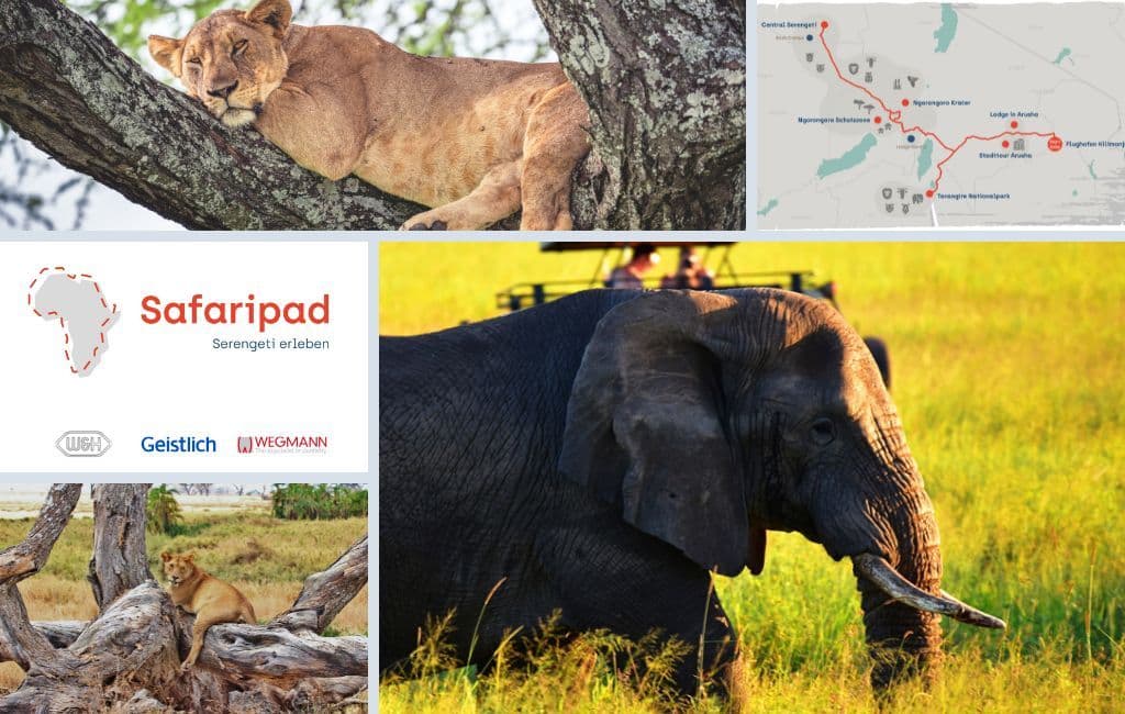 Safari Pad